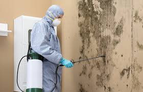 Best Asbestos and Lead Testing During Mold Inspection  in Hunter, OH